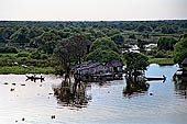 Tonle Sap - Prek Toal floating village - floating houses